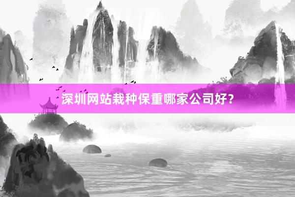 深圳网站栽种保重哪家公司好？