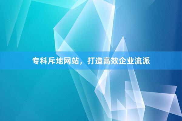专科斥地网站，打造高效企业流派